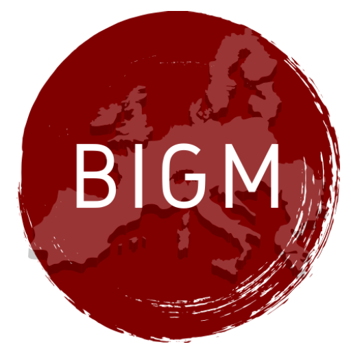 BIGM Logo 2 (1)